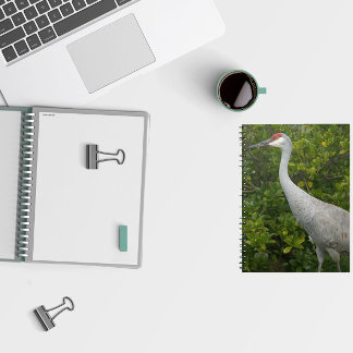 Sandhill Crane Bird Green Leaves Photo Notebook
