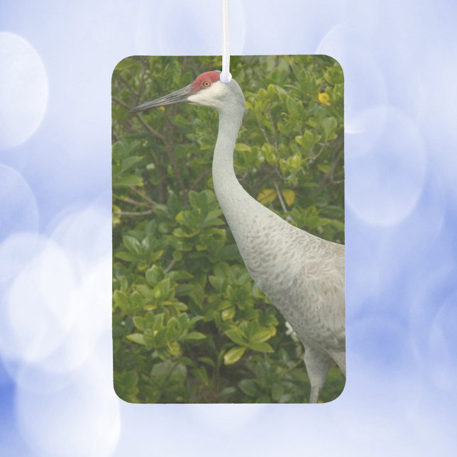 Sandhill Crane Bird Greenery Photograph Air Freshener (An air freshener with a photograph of a sandhill crane.)