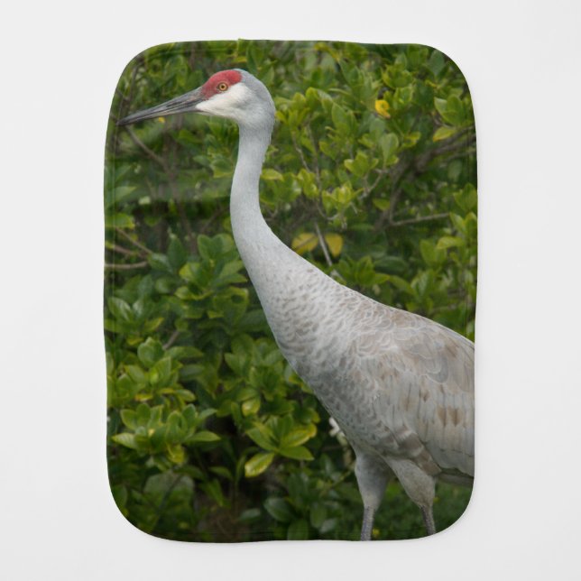 Sandhill Crane Bird Photo Baby Burp Cloth (Front)