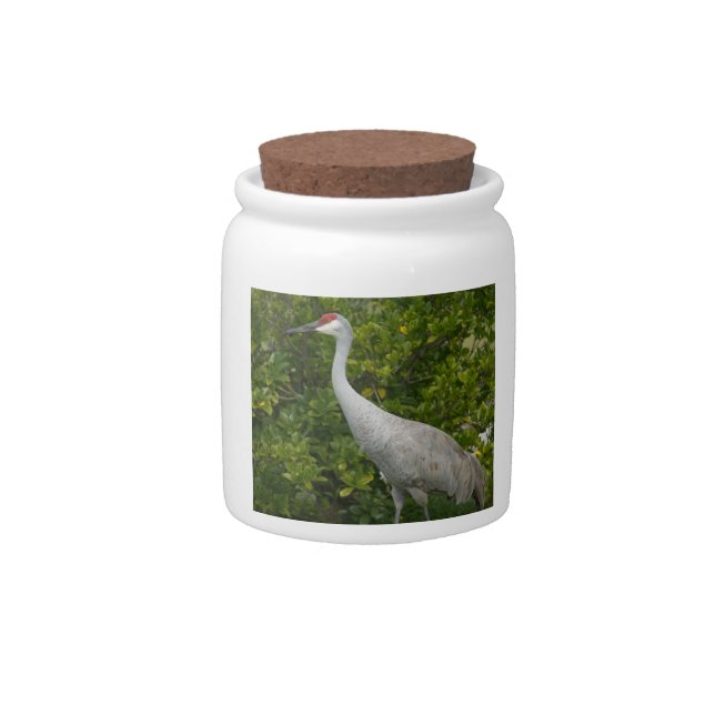 Sandhill Crane Bird Photo Candy Jar (Front)
