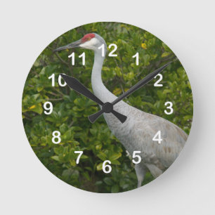 Sandhill Crane Bird Photo Round Clock