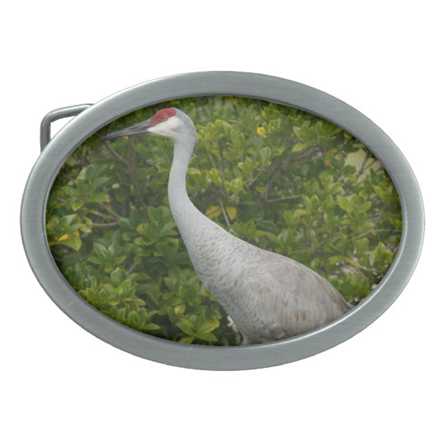 Sandhill Crane Bird Photograph Belt Buckle (Front)