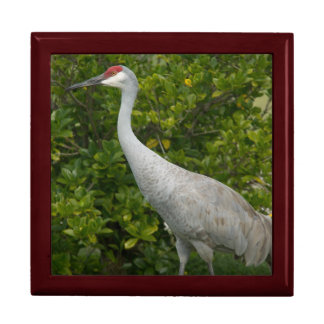 Sandhill Crane Bird Photograph Jewelry Box