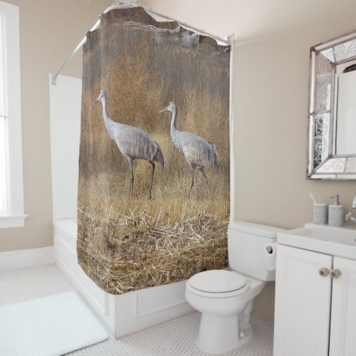 Sandhill Crane Bird Wildlife Animal Shower Curtain
