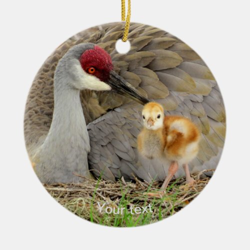 Sandhill crane bird with chick colt photography ceramic ornament