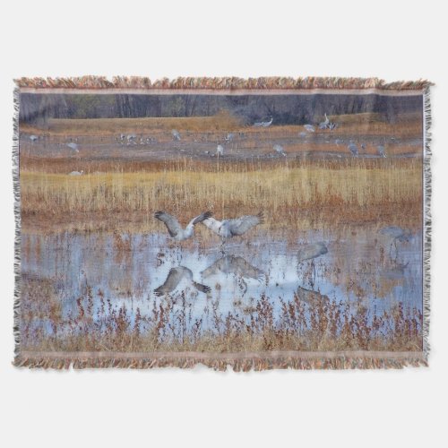 Sandhill Crane Birds Blanket