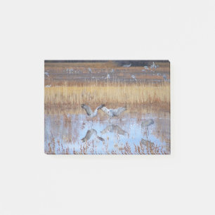 Sandhill Crane Birds Dance Wildlife Post It Notes