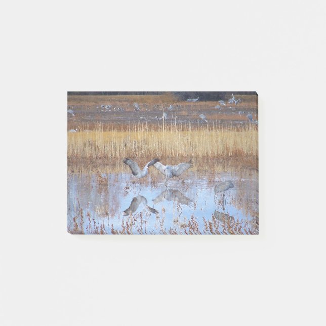 Sandhill Crane Birds Dance Wildlife  Post It Notes (Front)