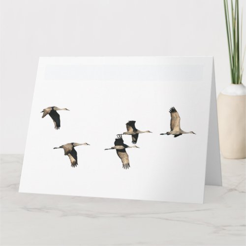 Sandhill Crane Birds Flying Birthday Greeting Card