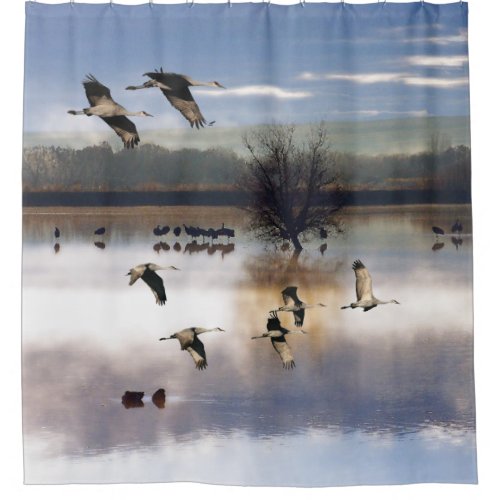 Sandhill Crane Birds Flying Dawn Shower Curtain