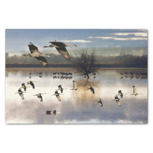 Sandhill Crane Birds Flying Wildlife Tissue Paper