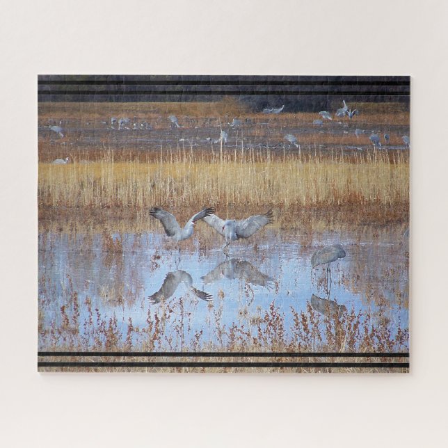 Sandhill Crane Birds Wildlife Animal Jigsaw Puzzle (Horizontal)