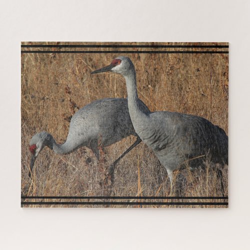 Sandhill Crane Birds Wildlife Animal Jigsaw Puzzle