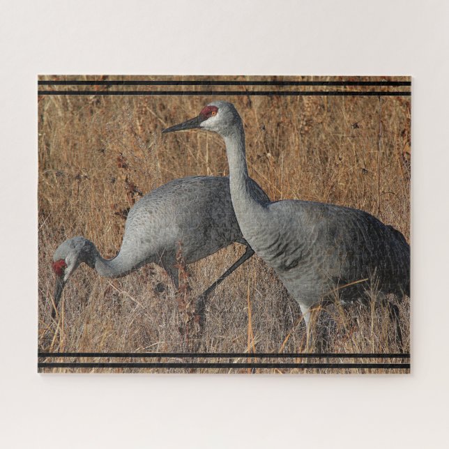 Sandhill Crane Birds Wildlife Animal Jigsaw Puzzle (Horizontal)