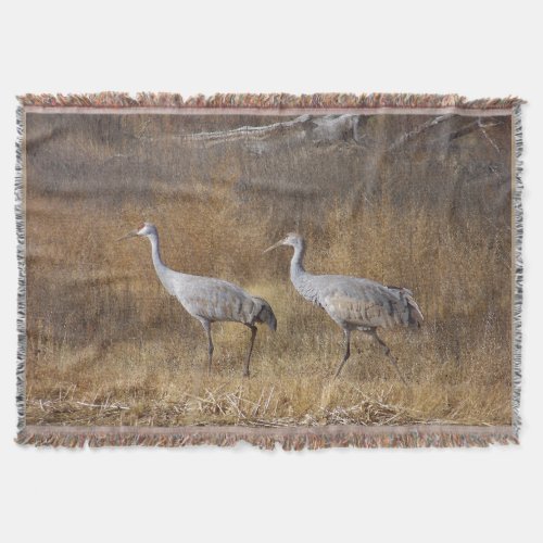 Sandhill Crane Birds Wildlife Animal Throw Blanket