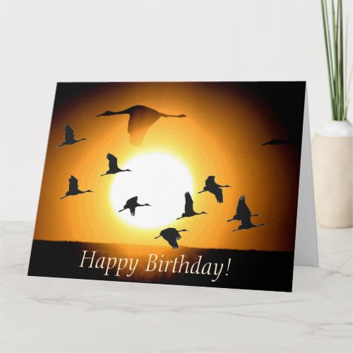 Sandhill Crane Birds Wildlife Animals Birthday Card