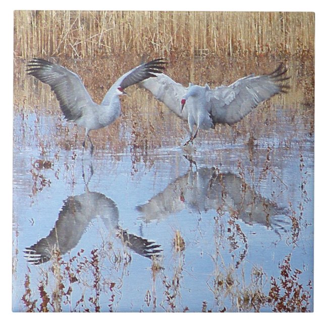 Sandhill Crane Birds Wildlife Animals Ceramic Tile (Front)