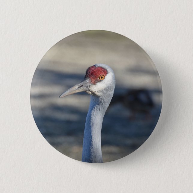 Sandhill Crane Button (Front)