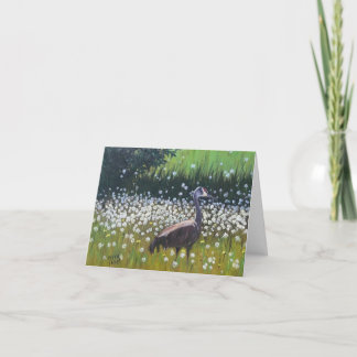 Sandhill Crane Card