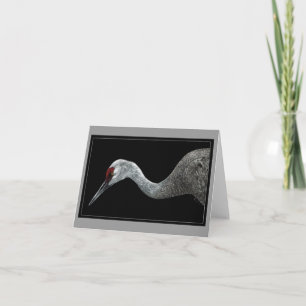 Sandhill Crane Card