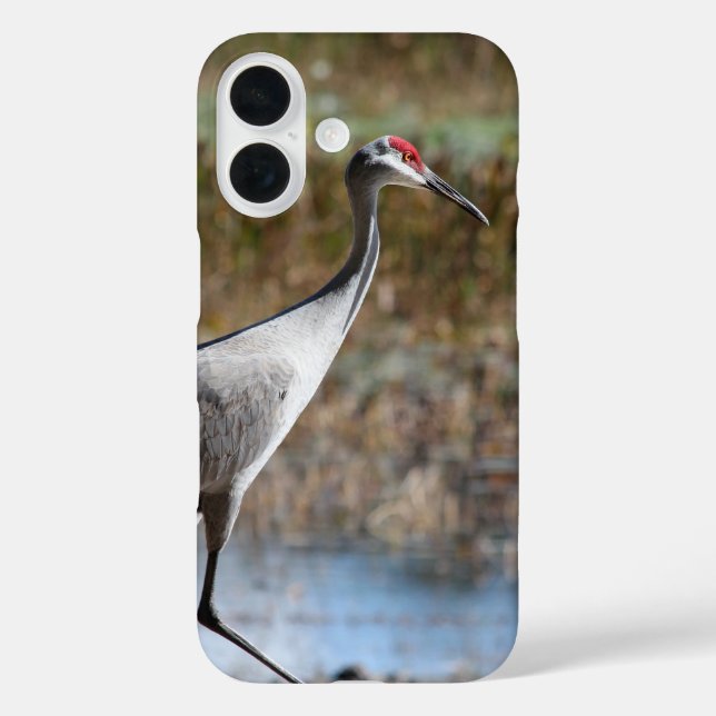 Sandhill Crane Case-Mate iPhone Case (Back)