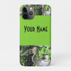 Sandhill crane iPhone 11 pro case