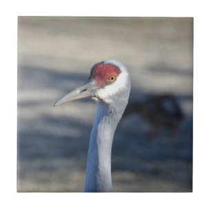 Sandhill Crane Ceramic Tile
