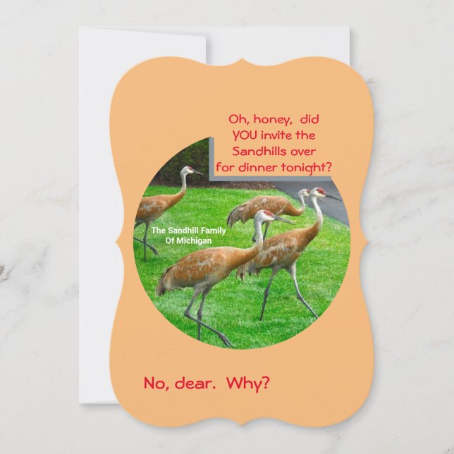 SANDHILL CRANE FAMILY/THANK YOU CARD Flat Card (Front)