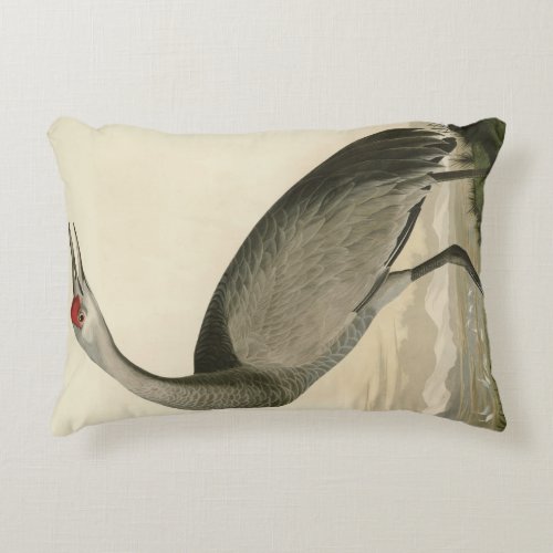Sandhill Crane from Audubons Birds of America Accent Pillow