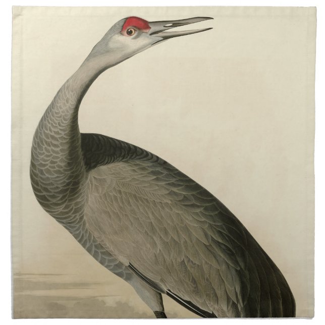 Sandhill Crane from Audubon's Birds of America Cloth Napkin (Front)