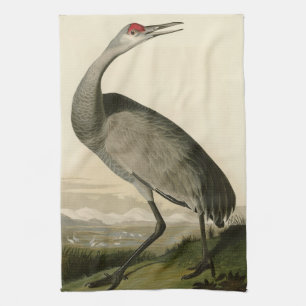 Sandhill Crane from Audubon's Birds of America Kitchen Towel
