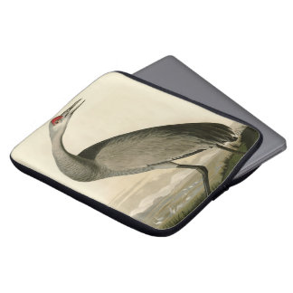 Sandhill Crane from Audubon's Birds of America Laptop Sleeve