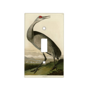 Sandhill Crane from Audubon's Birds of America Light Switch Cover