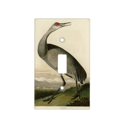 Sandhill Crane from Audubons Birds of America Light Switch Cover