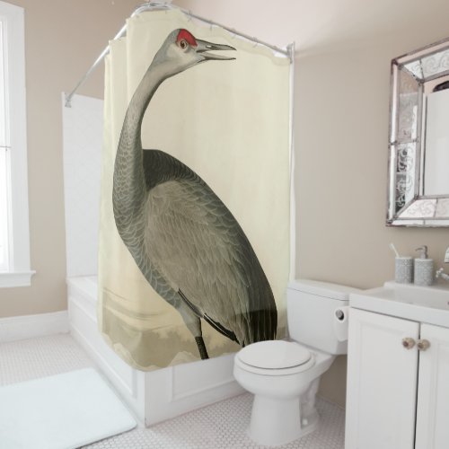 Sandhill Crane from Audubons Birds of America Shower Curtain