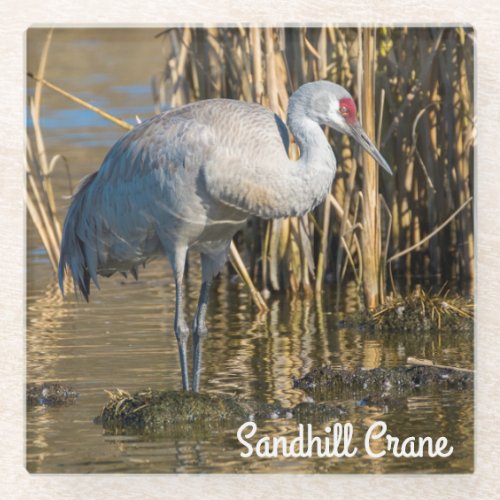 Sandhill Crane Glass Coaster