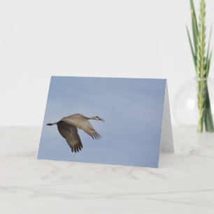Sandhill Crane Greeting Card