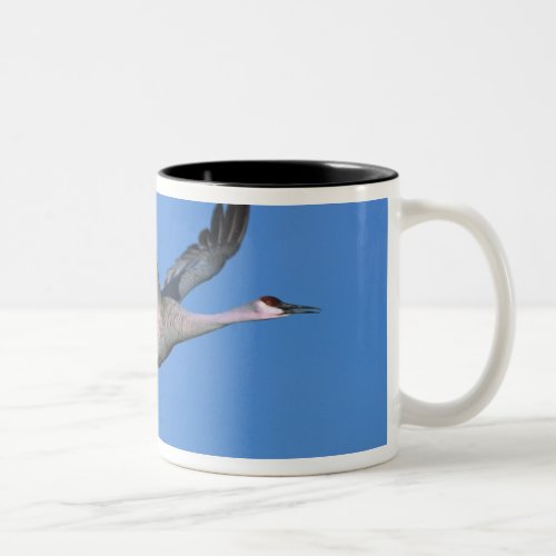 Sandhill Crane Grus canadensis in flight Two_Tone Coffee Mug