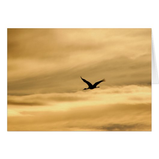 Sandhill Crane in New Mexico Cards (Front Horizontal)