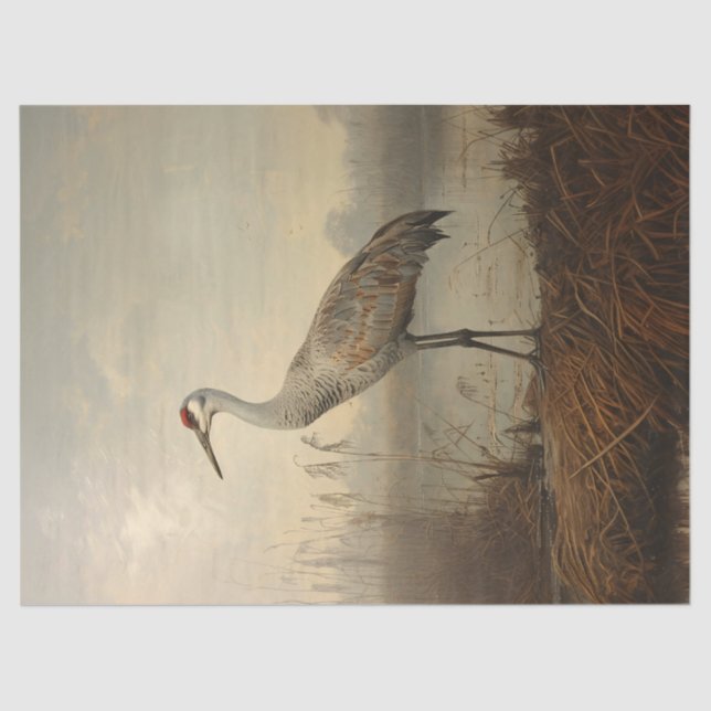 Sandhill Crane in the Marsh Decoupage Tissue Paper (Front)
