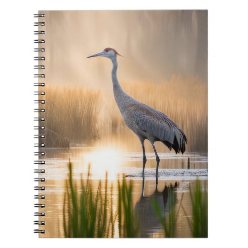 Sandhill Crane In Wetlands Notebook