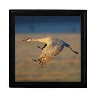 sandhill crane jewelry box