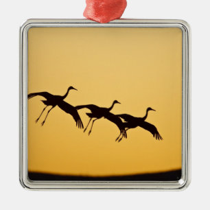 Sandhill Crane landing at sunset Metal Ornament