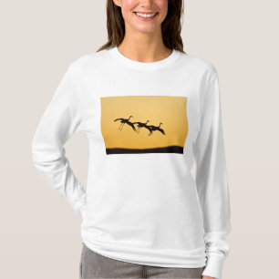Sandhill Crane landing at sunset T-Shirt
