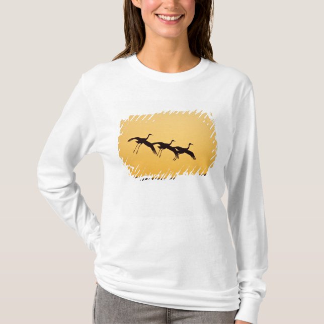 Sandhill Crane landing at sunset T-Shirt (Front)