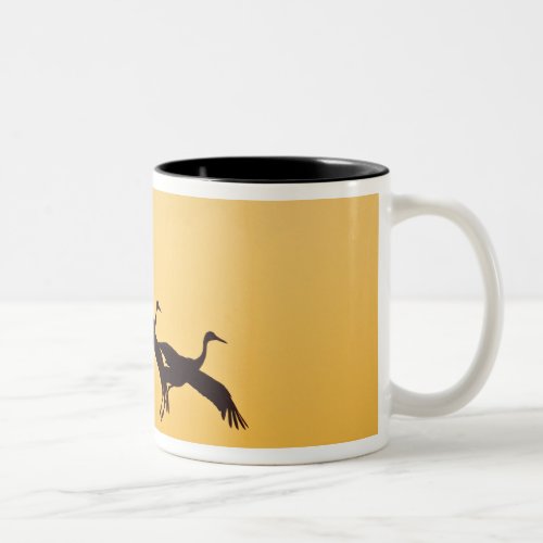 Sandhill Crane landing at sunset Two_Tone Coffee Mug
