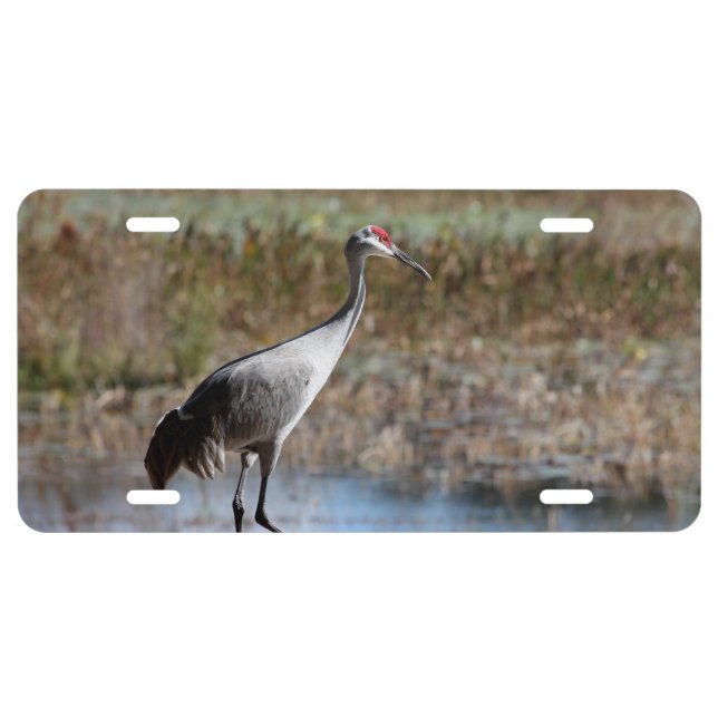 Sandhill Crane License Plate (Front)