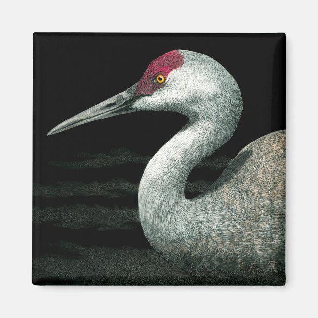 Sandhill Crane Magnet - "Grassland Grace" (Front)