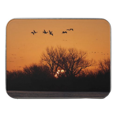 Sandhill Crane Migration along the Platte River Jigsaw Puzzle