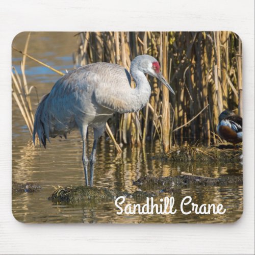 Sandhill Crane Mouse Pad